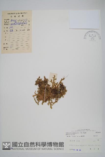 Accession Number:P005499 Collection Image, Figure 1, Total 2 Figures