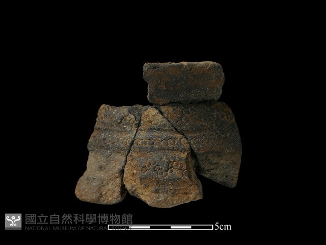 陶罐藏品圖，第1張