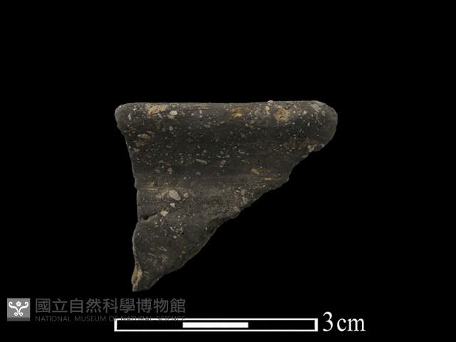 陶片藏品圖，第1張