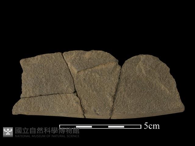 石鋸藏品圖，第2張