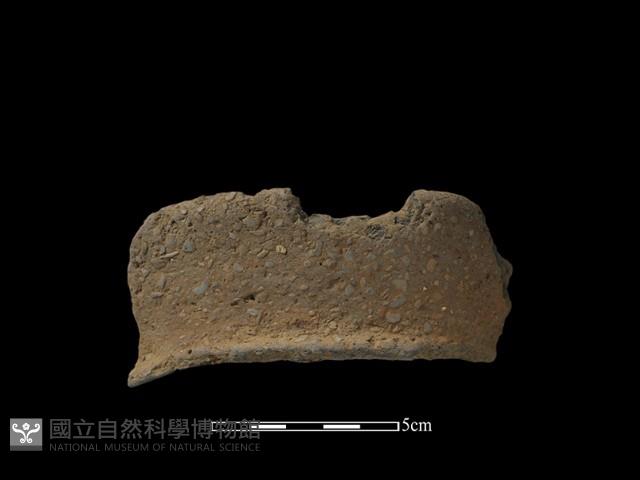 陶片藏品圖，第1張