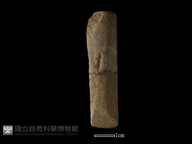 錛鑿形器藏品圖，第2張
