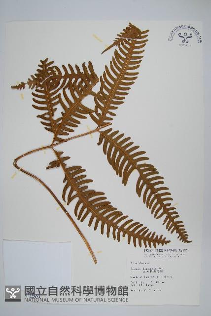 Accession Number:P001528 Collection Image, Figure 1, Total 2 Figures