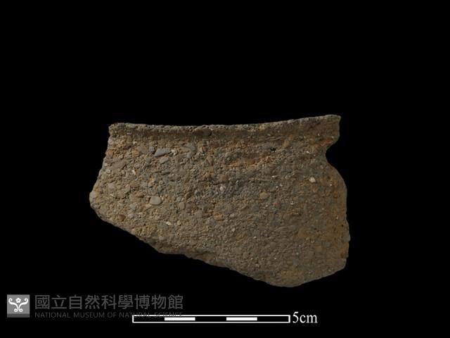 陶片藏品圖，第1張