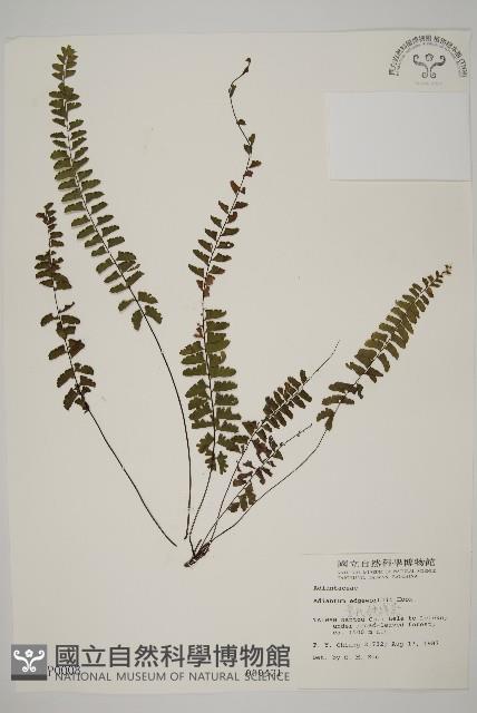 Accession Number:P000008 Collection Image, Figure 1, Total 5 Figures