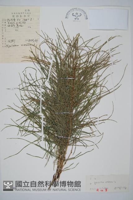 問荊藏品圖，第1張