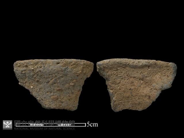 陶片藏品圖，第1張