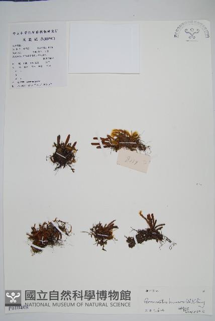 登錄號:P010408藏品圖，第1張