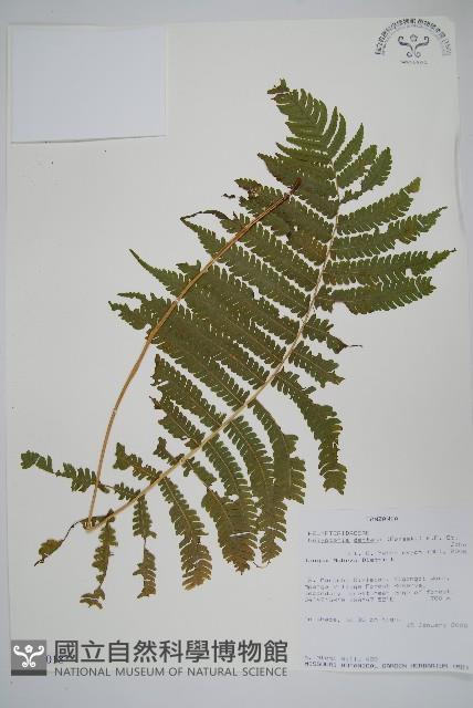 登錄號:P010018藏品圖，第1張