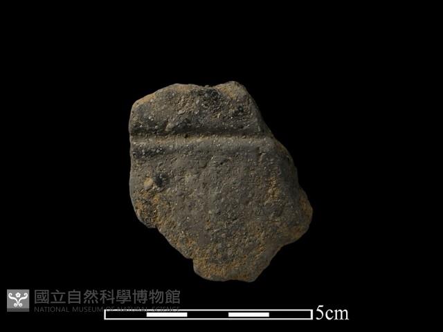 陶片藏品圖，第1張