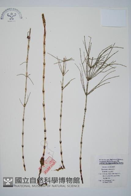 問荊藏品圖，第1張