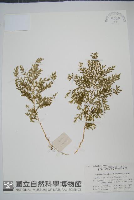 Accession Number:P003458 Collection Image, Figure 1, Total 2 Figures