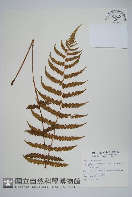 Accession Number:P002338 Collection Image, Figure 1, Total 2 Figures