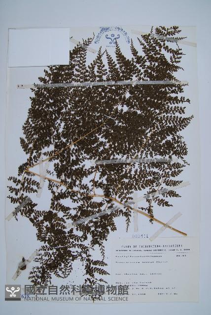 Accession Number:P007638 Collection Image, Figure 1, Total 5 Figures