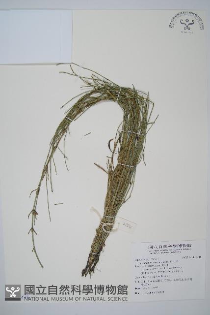 木賊藏品圖，第1張