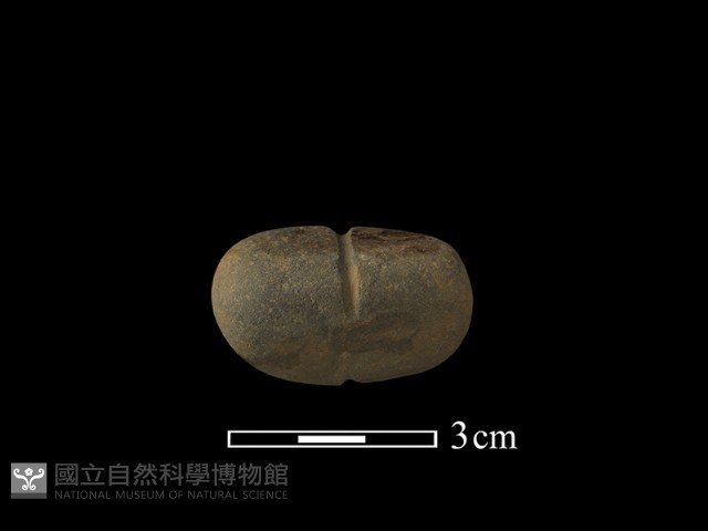 網墜藏品圖，第1張