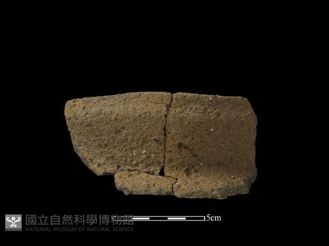 陶片藏品圖，第2張