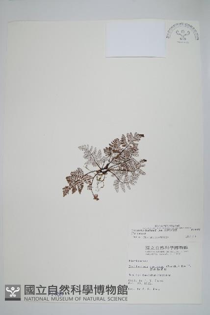 Accession Number:P001488 Collection Image, Figure 1, Total 2 Figures