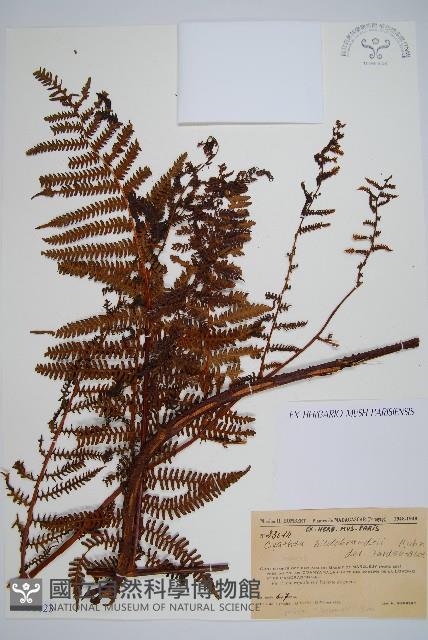 登錄號:P010023藏品圖，第1張