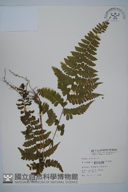 Accession Number:P001423 Collection Image, Figure 1, Total 5 Figures