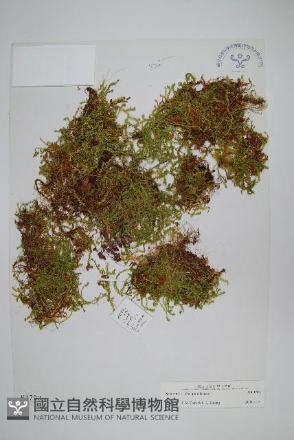 登錄號:P003703藏品圖，第1張