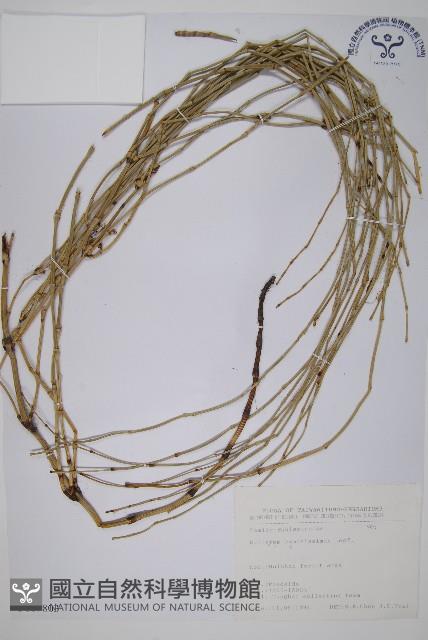 木賊藏品圖，第1張