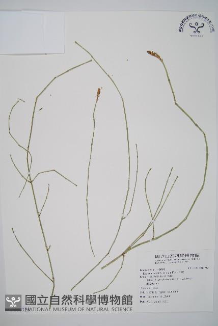 木賊藏品圖，第1張