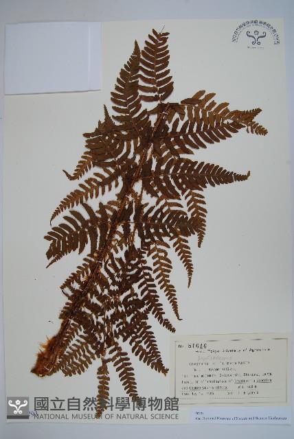 Accession Number:P012793 Collection Image, Figure 1, Total 2 Figures