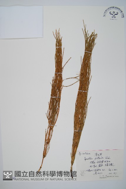 草問荊藏品圖，第1張