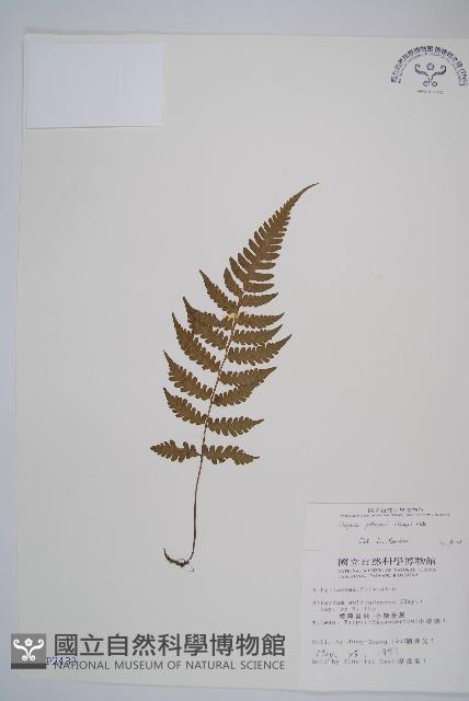 Accession Number:P002433 Collection Image, Figure 1, Total 5 Figures