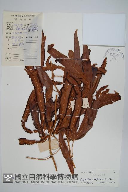 Accession Number:P005063 Collection Image, Figure 1, Total 2 Figures