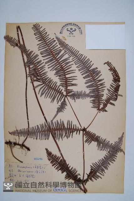 登錄號:P008073藏品圖，第1張