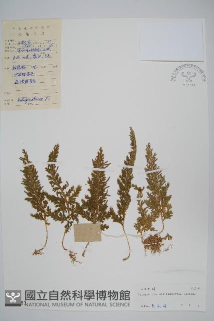 Accession Number:P004183 Collection Image, Figure 1, Total 2 Figures