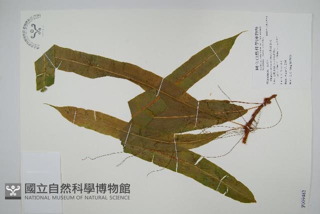 Accession Number:P009483 Collection Image, Figure 1, Total 2 Figures