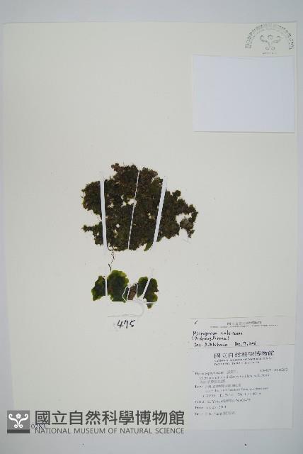 登錄號:P010283藏品圖，第1張