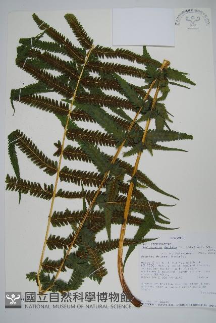 登錄號:P010027藏品圖，第1張