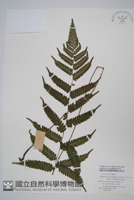 Accession Number:P005707 Collection Image, Figure 1, Total 2 Figures