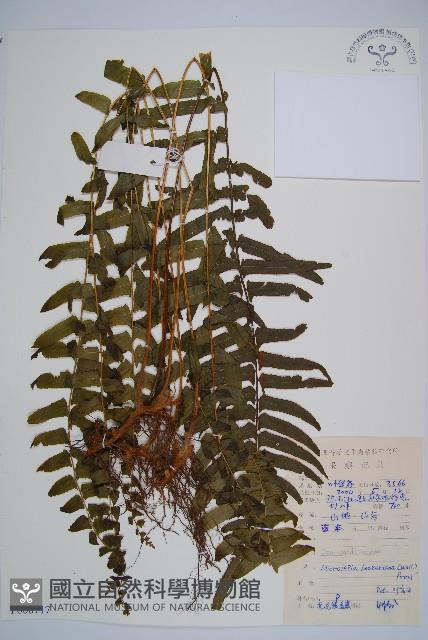 Accession Number:P008717 Collection Image, Figure 1, Total 5 Figures