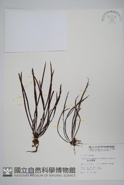 Accession Number:P001397 Collection Image, Figure 1, Total 2 Figures