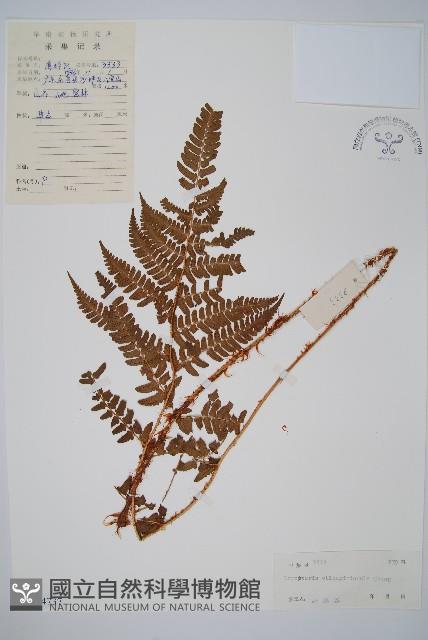 登錄號:P004737藏品圖，第1張