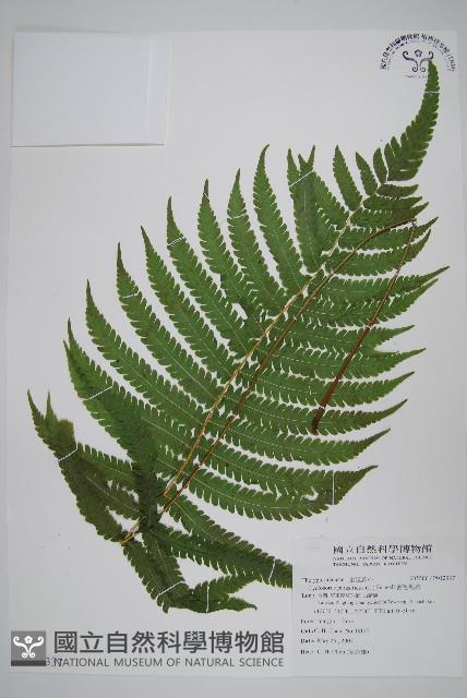 Accession Number:P012337 Collection Image, Figure 1, Total 2 Figures