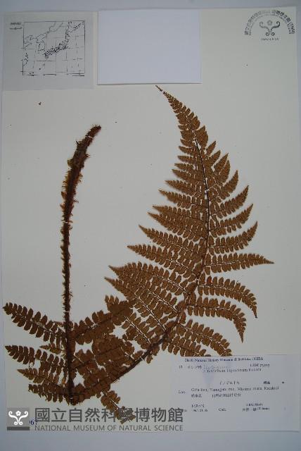 登錄號:P011067藏品圖，第1張