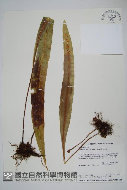 Accession Number:P002947 Collection Image, Figure 1, Total 2 Figures