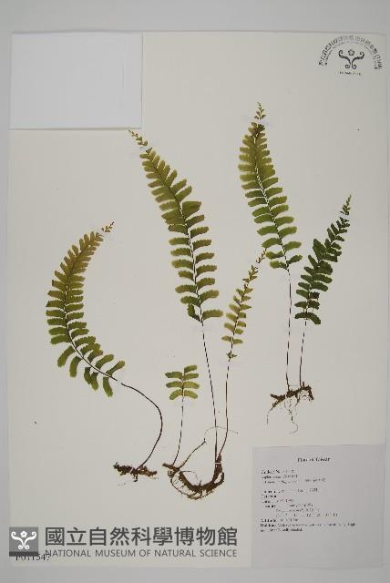 Accession Number:P011547 Collection Image, Figure 1, Total 5 Figures