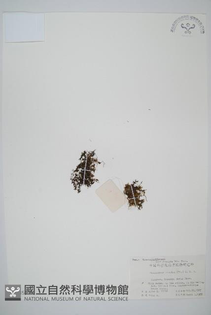 Accession Number:P003547 Collection Image, Figure 1, Total 2 Figures