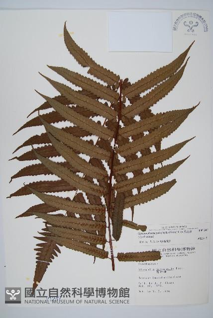 Accession Number:P001247 Collection Image, Figure 1, Total 5 Figures