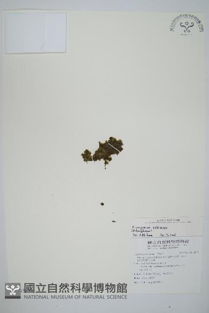 登錄號:P011587藏品圖，第1張