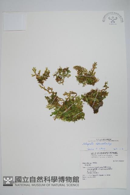 Accession Number:P004287 Collection Image, Figure 1, Total 2 Figures