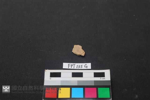 魚骨藏品圖，第1張