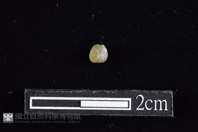 陶珠藏品圖，第1張